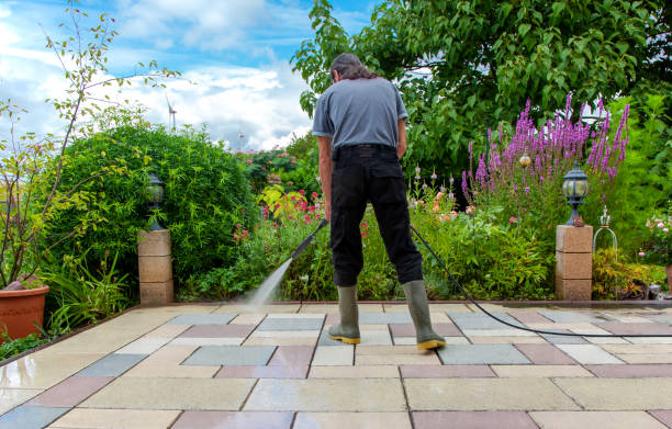 Best Fence Cleaning and Maintenance in La Vernia, TX